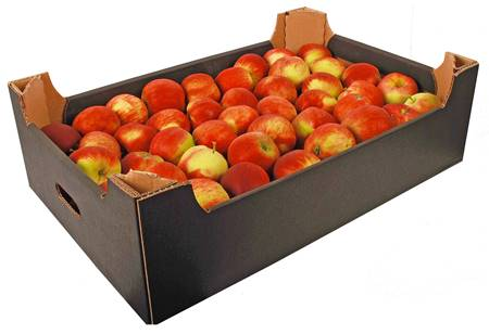 Яблоки Пинова