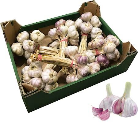 Чеснок пучок 10 шт.